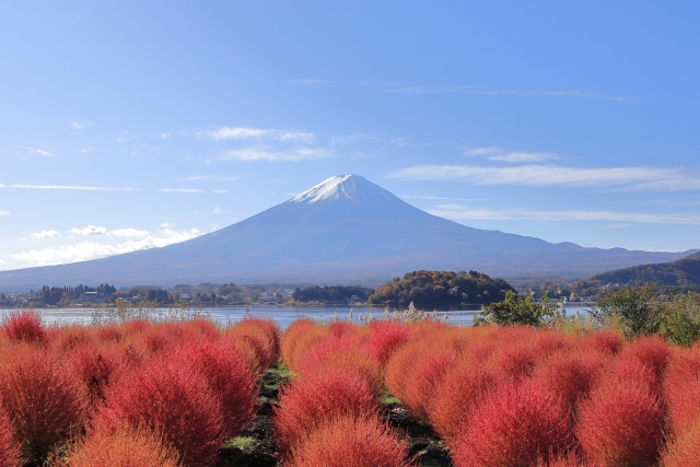 ｊｒ 京成津田沼発 紅く染まる山梨の紅葉 神秘的な忍野八海を散策 ランチバイキングと地ビール飲み放題 10月発 大石公園 11月発 もみじ回廊 コースno 21 1040 03 京成トラベルサービス